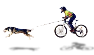 Sport Canin