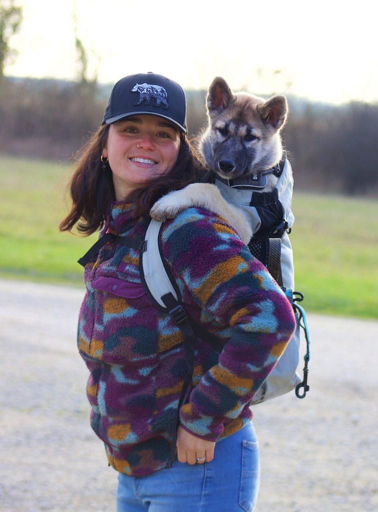 Amaruq mon chiot esquimau du canada dans le sac à doc